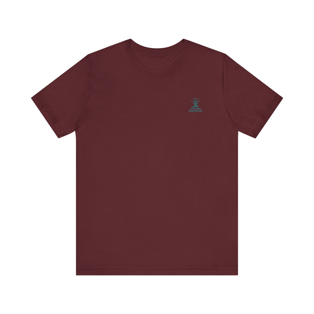 Skull Cove pirate t-shirt